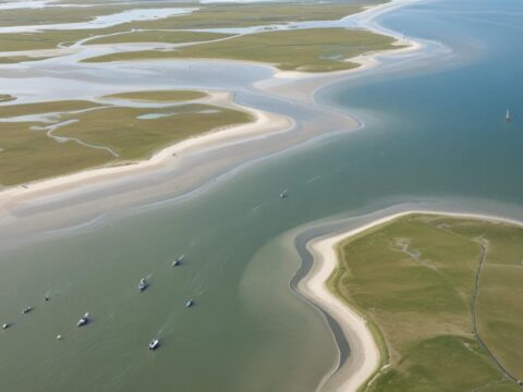 Veränderungen im Ökosystem Wattenmeer: Ein Überblick über die Entwicklungen der letzten Jahrzehnte**