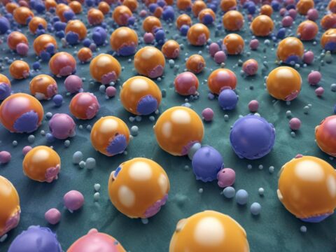 Veränderungen von Nanokatalysatoren während der Katalyse: Neue Erkenntnisse aus der Forschung**