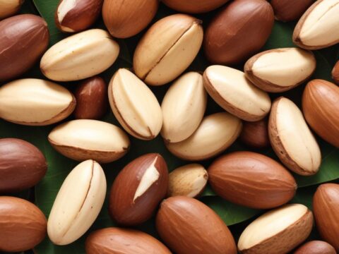 Die gesundheitlichen Aspekte von Paranüssen: Eine umfassende Untersuchung der Spurenelemente**