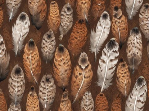 Verlust der Farbvielfalt bei Mäusebussarden: Eine Citizen-Science-Studie enthüllt besorgniserregend…