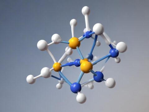 Innovative Ansätze zur Analyse katalytischer Reaktionsnetzwerke**