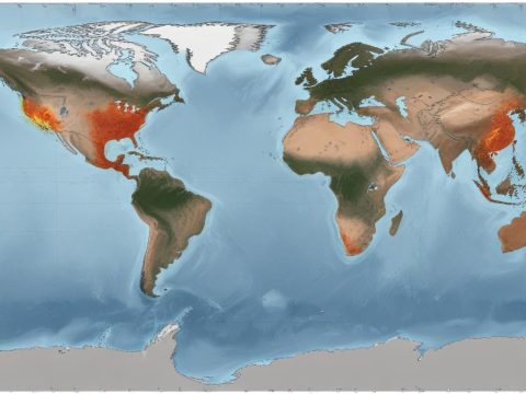 Fortschritt in der Klimamodellierung: Neue Studien belegen beeindruckende Genauigkeit**