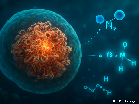 Molekulare Entschlüsselung der biologischen Stickstofffixierung unter extremen Bedingungen** Molekulare Entschlüsselung der biologischen Stickstofffixierung unter extremen Bedingungen**